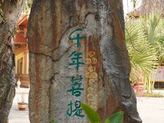 -西双版纳傣族园
