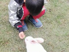 -洪湖家庭农场·团建·露营·会议