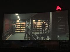 -枫花园汽车电影院(朝阳公园店)