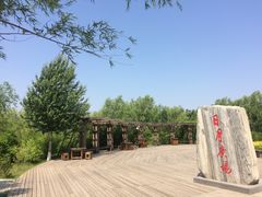 -呼兰河口湿地公园