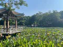 -星湖旅游景区七星岩