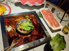 -二荆条·蜀鲜汇城市森林火锅