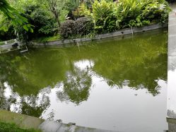 点击看大图 -莲生母婴月子中心(清水河公园店)