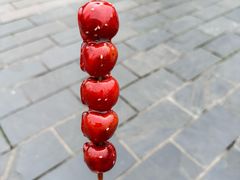 -堤角公园