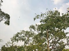 -云石寺