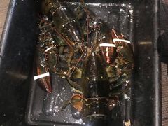 -鱼乐轩海鲜专门店