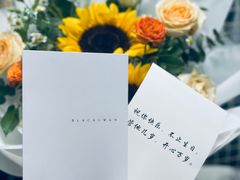 -BLACKSWAN黑天鹅(新希望店)