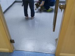 -喜多萌中农锦绣动物医院24H·猫科·牙科MRI·CT