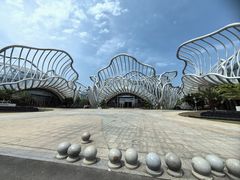 -海花岛旅游度假区