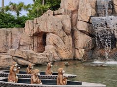 -美的鹭湖探索王国