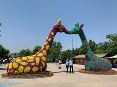 -西安秦岭野生动物园