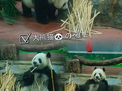 -广州动物园