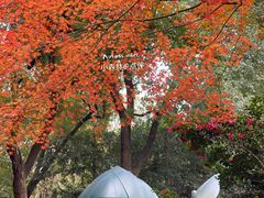 -静安公园(静安寺街道)