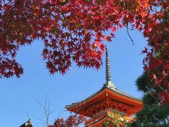 -有栖山 清光院 清水寺