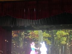 -彩色熊猫剧场