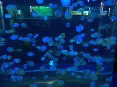 -重庆欢乐海底世界