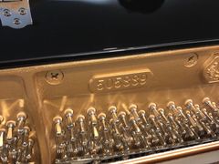 -面包新语(无锡M会员店)