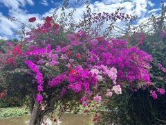 -中国科学院西双版纳热带植物园
