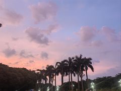 -番禺广场(市桥街道)