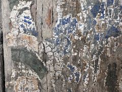 -张掖大佛寺景区