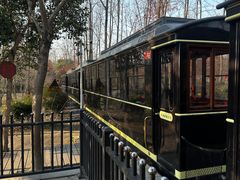 -合肥滨湖国家森林公园