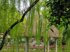 -湖南大学-中国书院博物馆