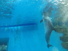 -波塞冬旅游度假区