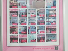 -爱月宝月嫂·育儿嫂