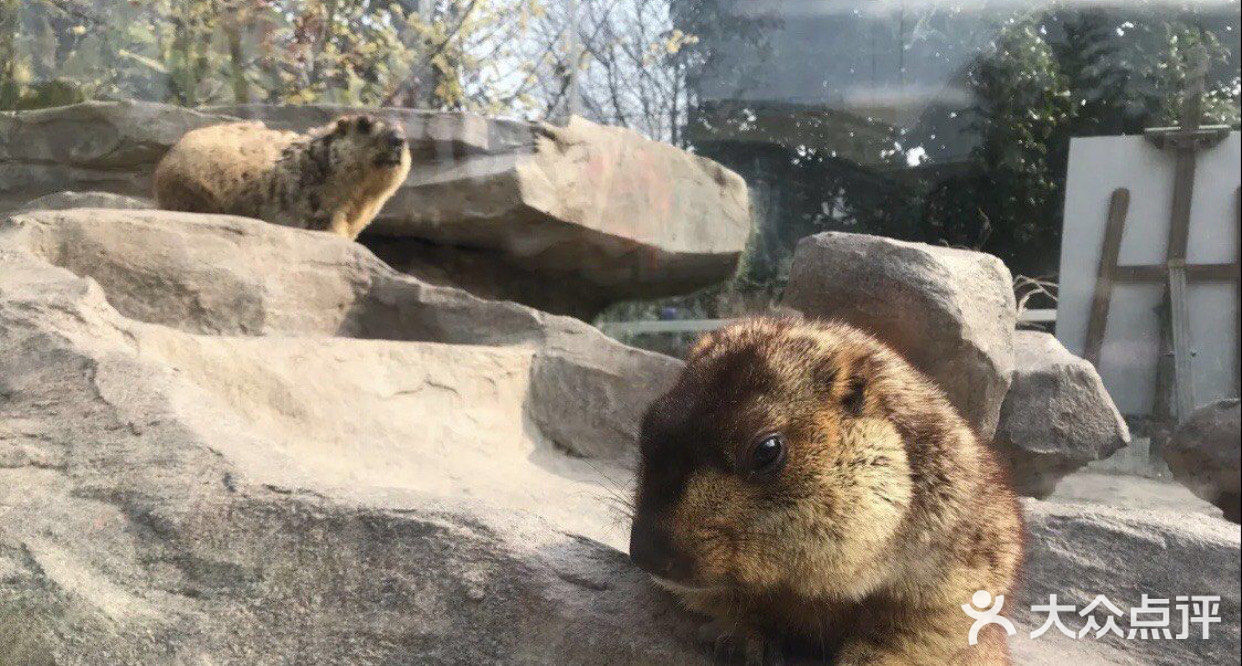 魔都春游打卡必来——亚马逊公园萌宠乐园