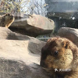 魔都春游打卡必来——亚马逊公园萌宠乐园