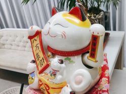 -痘院士祛痘美容皮肤管理