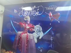 -广州长隆国际大马戏