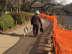 -井之头恩赐公园