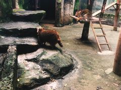 -南昌动物园