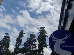 -瑞幸咖啡(鹏基商务时空大厦店)