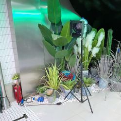-LESSMORE科技头皮理容中心