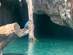 -三门海