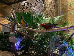 -杭州开元森泊度假乐园