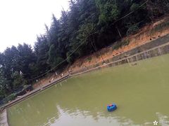 -铁山坪森林公园