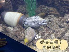 -重庆欢乐海底世界