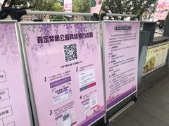 -嘉定紫藤园