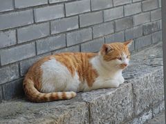 -云龙山