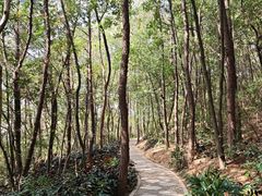-仙岳公园