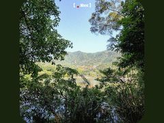 -深圳仙湖植物园