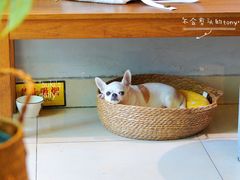 -Joymean coffee.见面咖啡
