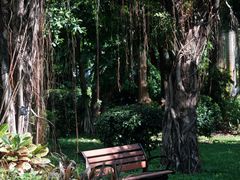 -深圳国际园林花卉博览园