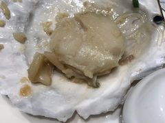 蒜蓉粉丝蒸元贝-强记海鲜·大排档(蛇口新街店)