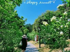 -铁山坪森林公园