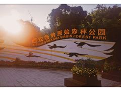 -西双版纳原始森林公园