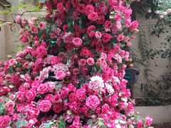-Osteria Garden 生蚝花园餐厅(原进贤路店)